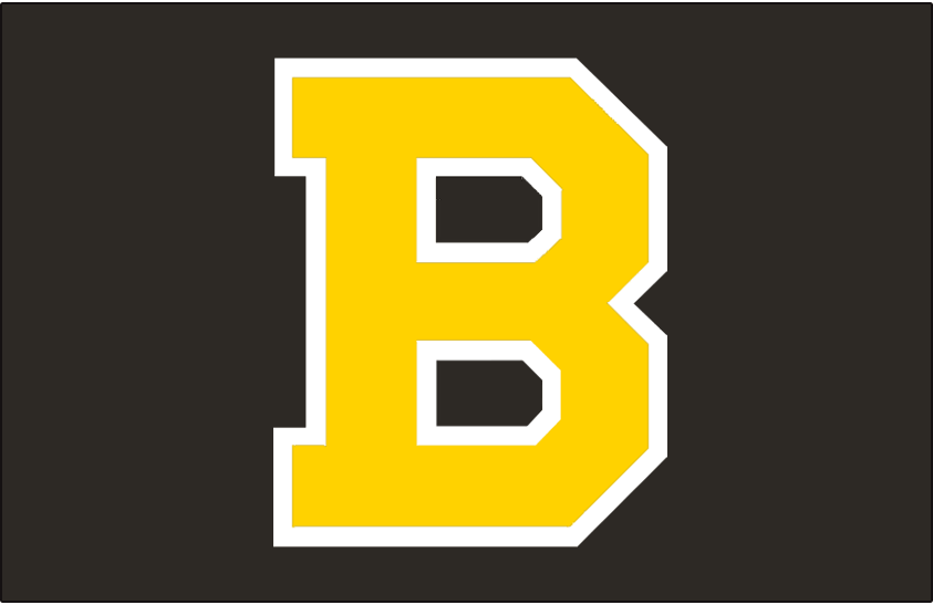 Boston Bruins 1948-1955 Jersey Logo DIY iron on transfer (heat transfer)